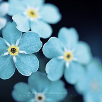 观后感范文大全300字左右(合集6篇)