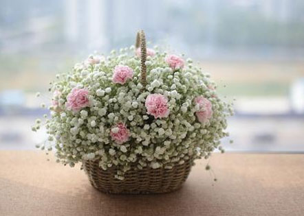 2025年春节节日风俗作文600字(7篇)