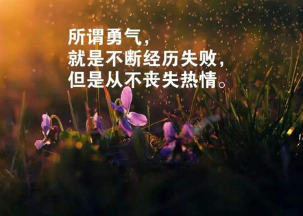 2025年社保工作人员个人工作总结 社保协管员个人月工作总结(汇总8篇)