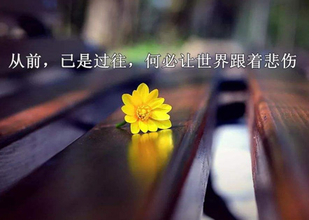地球上的星星观后感1000字十四篇(通用)