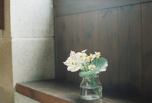 节日的演讲稿5篇范文