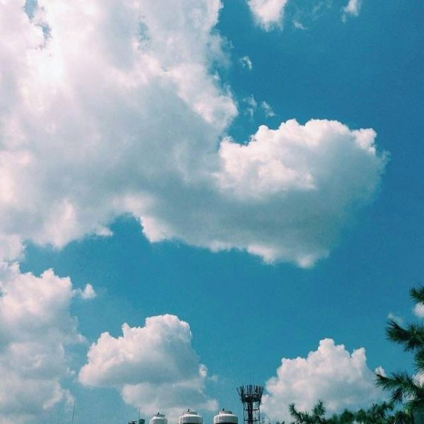 邮政客户中心个人的工作总结