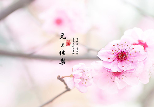 2025年毕业论文指导教师评语 毕业论文答辩指导教师评语(通用16篇)