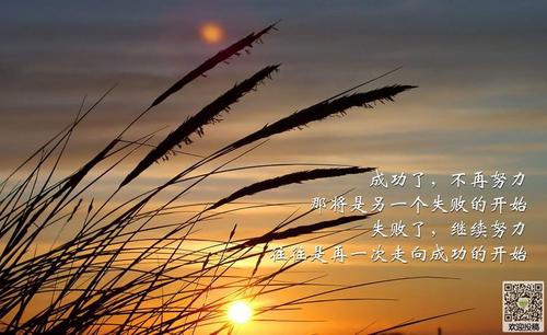 后勤管理工作总结与计划 后勤管理工作总结优秀(6篇)
