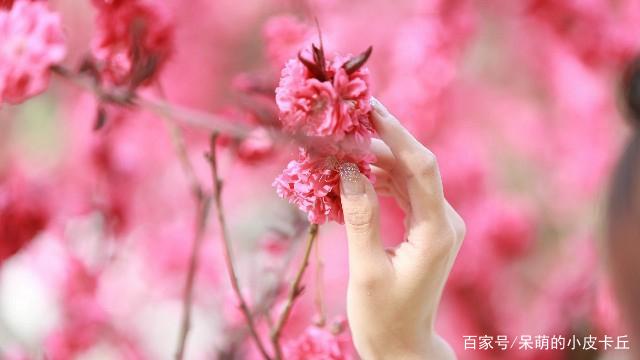 最新汽车维修工个人工作总结(五篇)