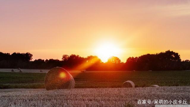 部队士官通用年终总结