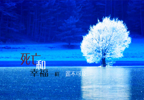 19年英语小作文范文12篇