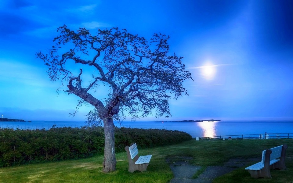 最新医院收费员工作总结免费 医院收费员工作总结(十三篇)