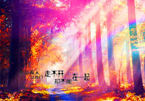 2025年主题教育专题党课讲稿：扎实开展主题教育，以党建赋能深化国企改革，实现企业高质量发展与廉洁党课：筑牢廉政思想根基、践行忠诚干净担当（2篇文）