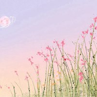说明文500字作文(六篇)