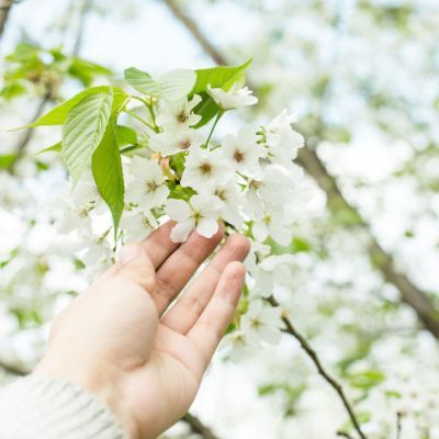 学生会干事发言稿范文(推荐14篇)