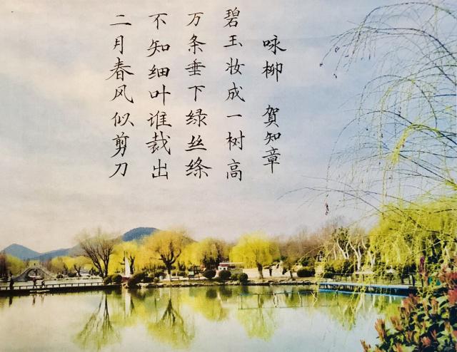 2025年春节趣事日记150字 春节趣事日记300字(大全7篇)